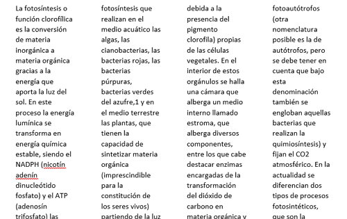 Cómo dividir una hoja o página de Word en cuatro usando la opción “Columnas”. Paso 6