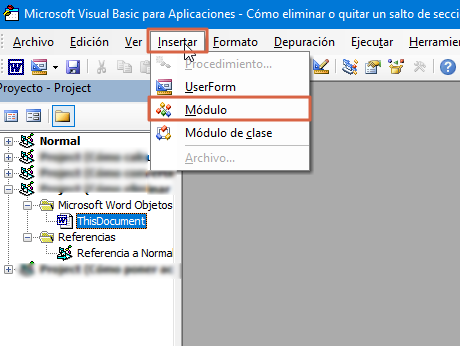 Como eliminar o quitar un salto de seccion en Word utilizando Alt + F11 paso 2