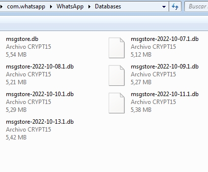 Como abrir archivos msgstore usando WhatsApp Viewer desde el ordenador paso 2